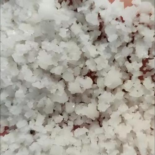 Ship sea salts 5000mt goods--Welcome to visit our salts field!